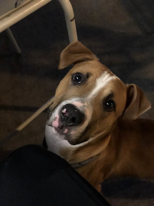 Ernie