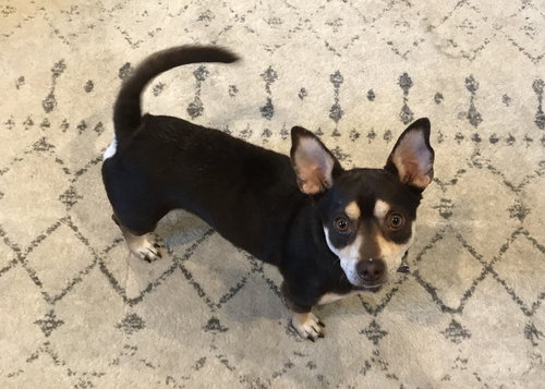 Max