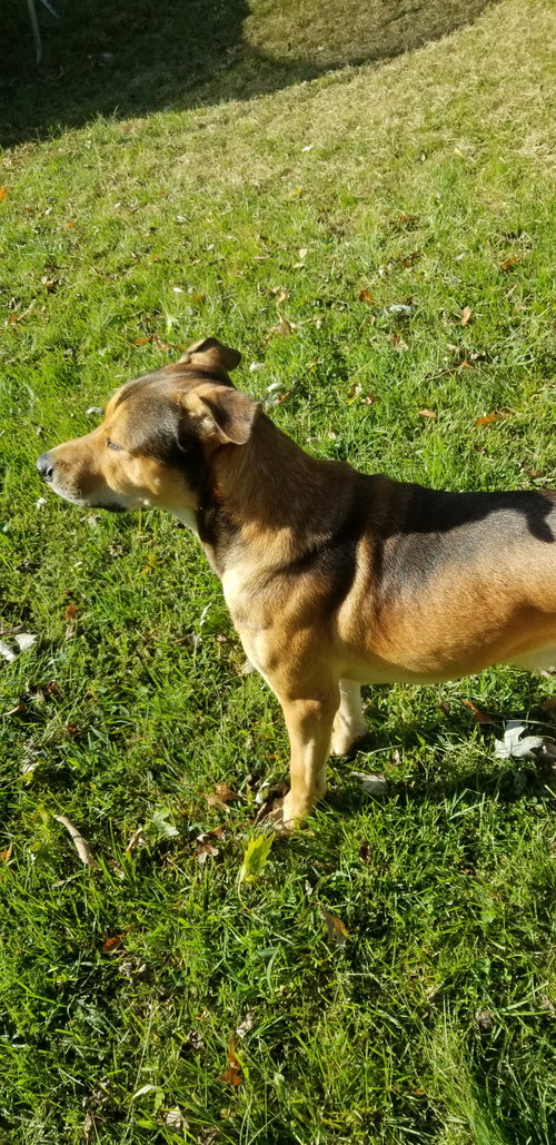 Abe