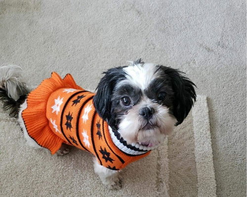 Annabelle