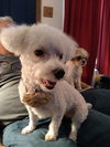 Rosie