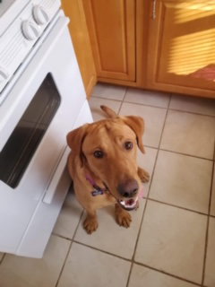 Wally