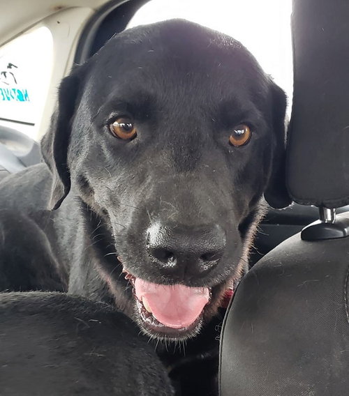 Jax