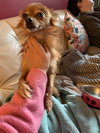 Artie