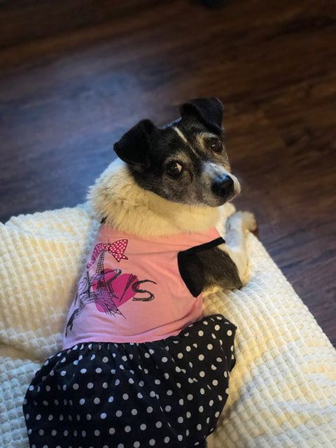 Priscilla