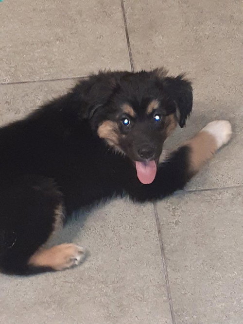 Kane
