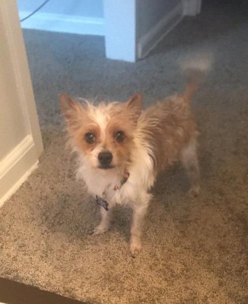 Rudy