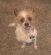 Rudy