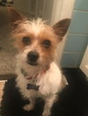 Rudy