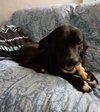 Duke