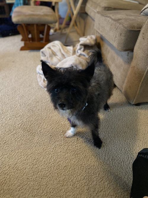 Riley