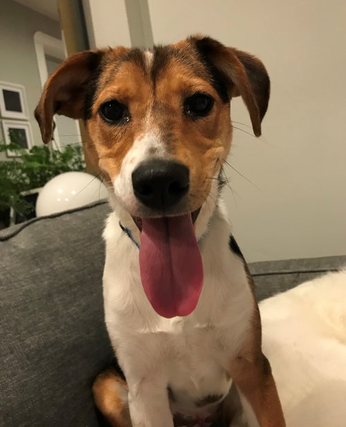 Winnie