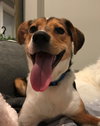 Winnie