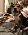 Winnie