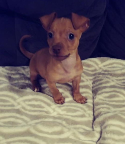 Lil Larry