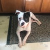 Tucker