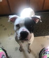 Tucker