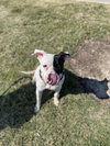 Tucker