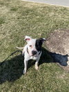 Tucker