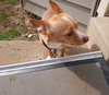 Maggie