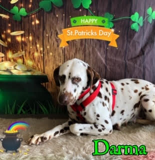 Darma