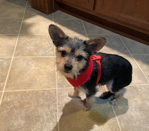 Fred