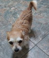 Lenny