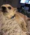 Lenny