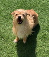 Bosley