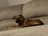 Lola