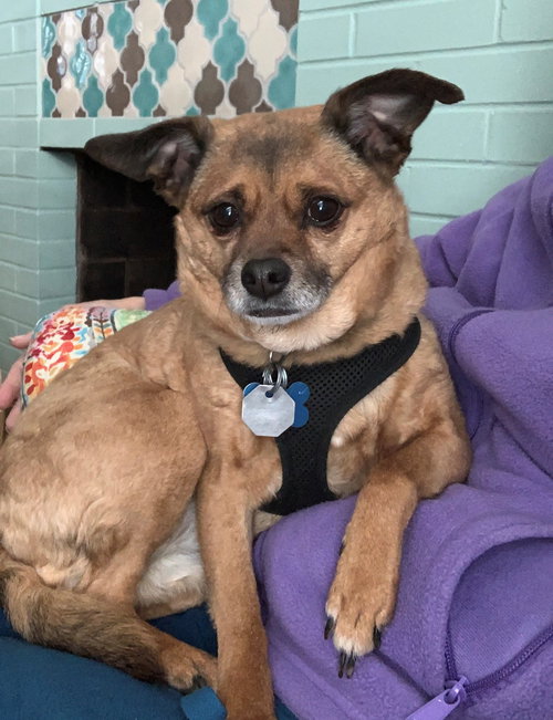 Coco Tilly