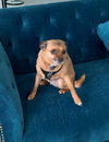 Coco Tilly