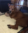 Snickers