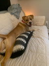 Addie