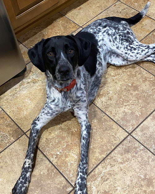 Luna