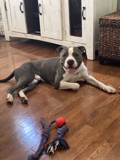 Louie