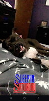 Charkey ( Courtesy Post)
