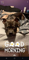 Charkey ( Courtesy Post)