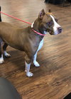 Kit Kat