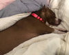 Kit Kat