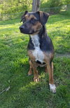 Nova