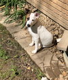 Ruthie