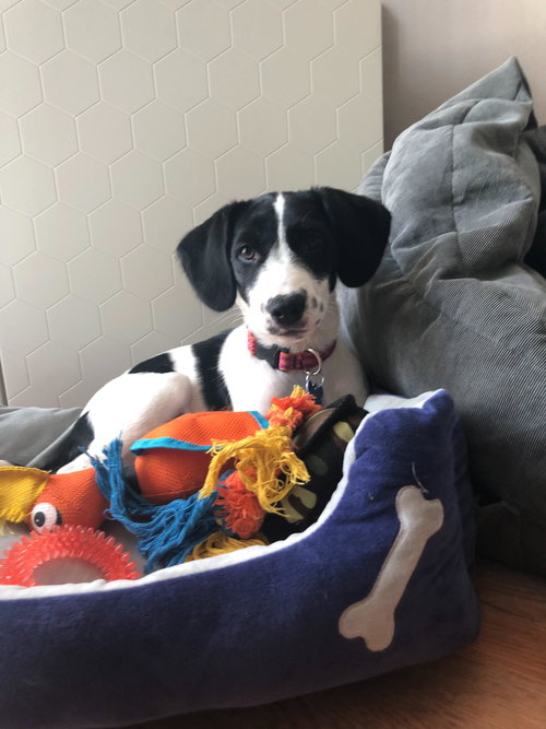 Minnie