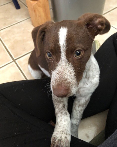 Tux