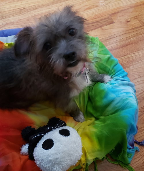 Stella Marie