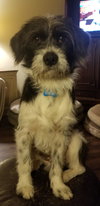 McFluffy