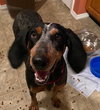 Matilda