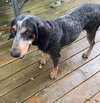 Matilda