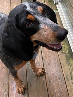 Matilda