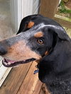 Matilda
